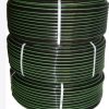 Sujay Plain Lateral 6mm