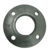 Delivery Flange 3"