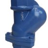 Ball Type Check Valve 3"