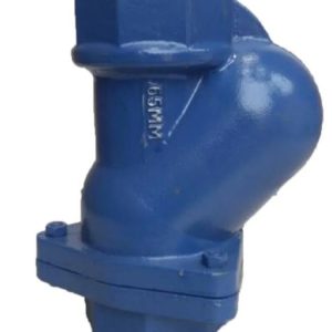 Ball Type Check Valve 21/2"