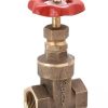 Ramco Gate Valve 3"