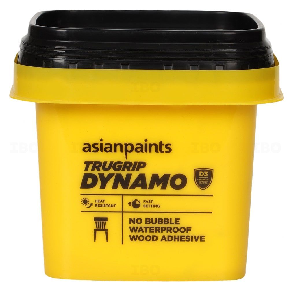 Asian Paints True Grip Dynamo 1kg