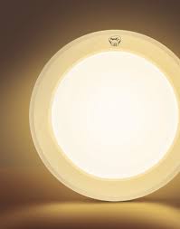 Pigeon Spot Light 6w-YELLOW