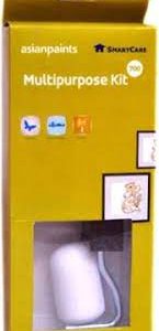 Asian Paints  Multipurpose Kit 2"700