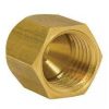 Brass Dummy 1/2''