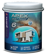 Asian Paints Apex Ext- Emulsion Clasic White 10L