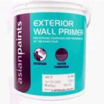 Asian Paints Exterior Wall Primer White 20l