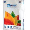 Birla Wall Putty 40 kg