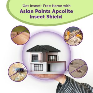 Asian Paints Insect Shield 1L