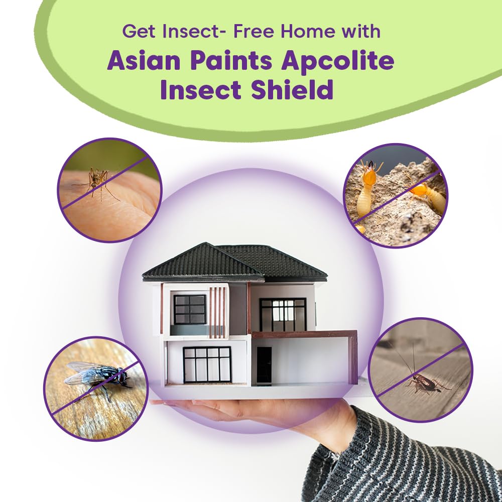 Asian Paints Insect Shield 1L